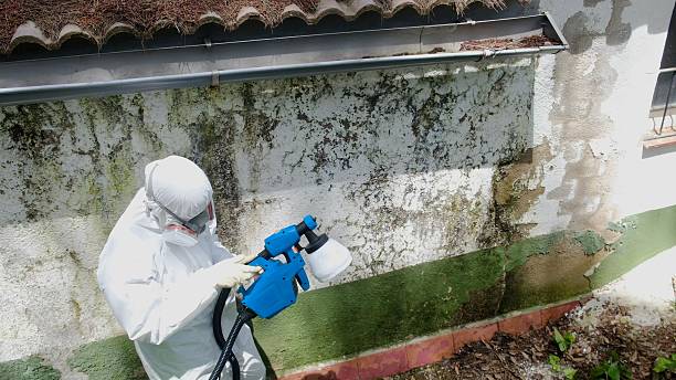 Top rated local Mold Remediation specialists in Red Bank, TN